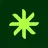 Logo of Palm